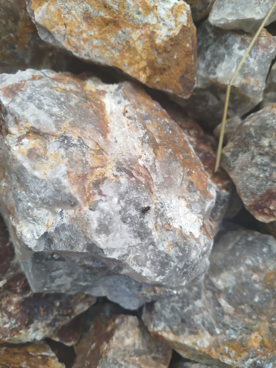 Quartz rock with iron oxide boxwork staining
